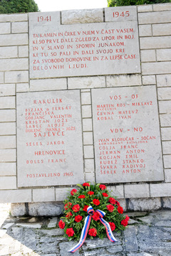 Sajevče _ 2025 (29)